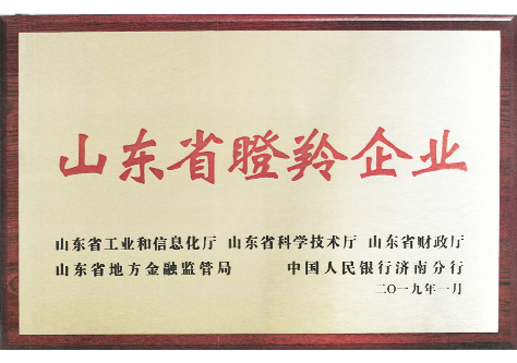山東省瞪羚企業