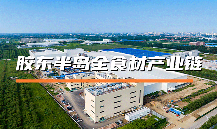 萬事達冷鏈助力膠東半島全食材產業鏈打造綠色冷庫