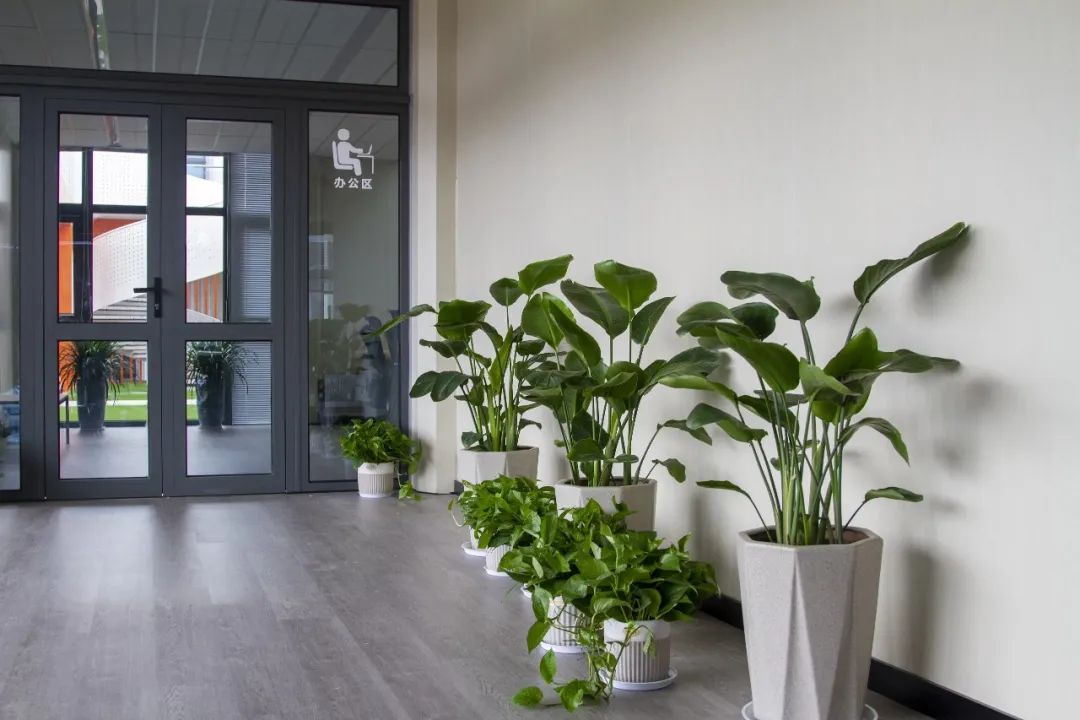 智慧街區，享品質未來(圖1)