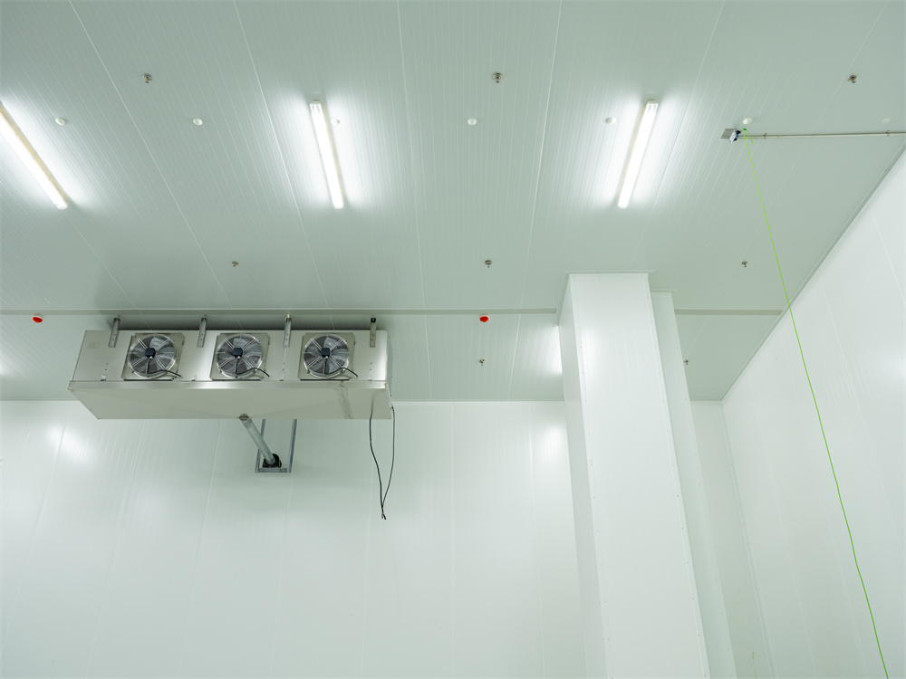 青島安宜美食品01 (48).jpg 萬事達冷鏈助力膠東半島全食材產(chǎn)業(yè)鏈打造綠色冷庫(圖6)