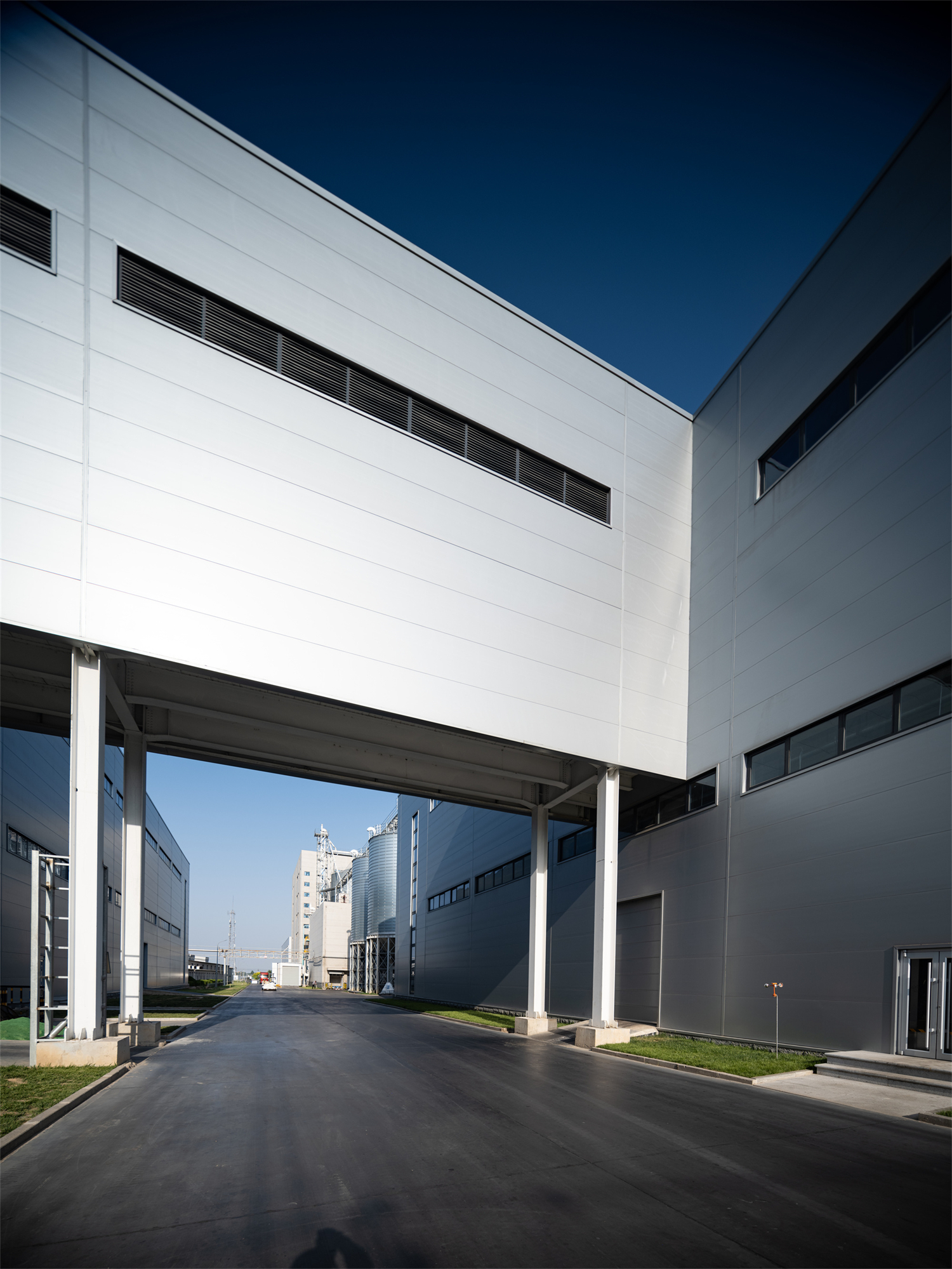 工業上樓與立體庫協同增效，華興寵物開啟“新高度”(圖10)